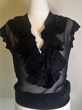 Amanda Uprichard Black Sheer Ruffle V-Neck Blouse